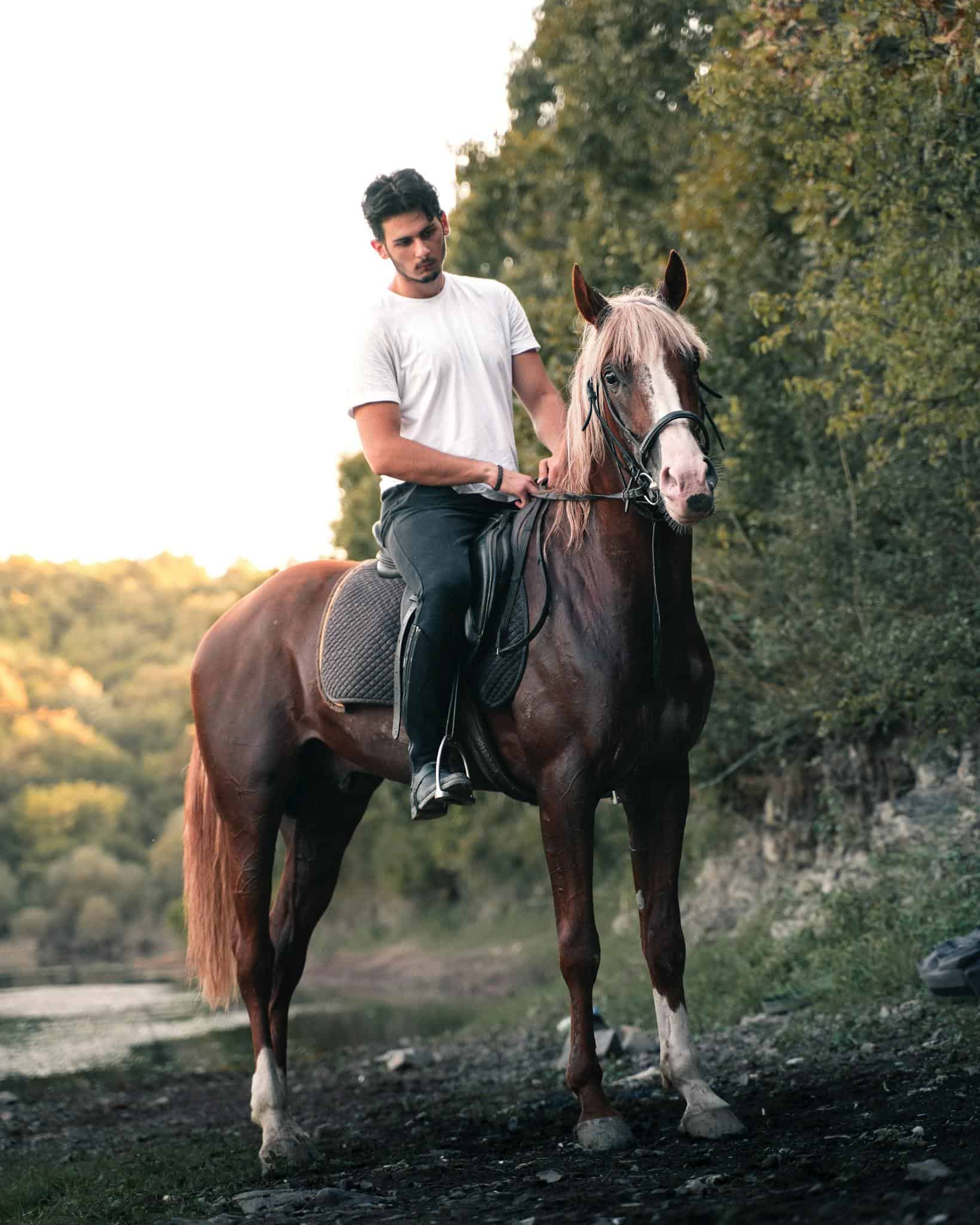 Man Riding a Dark Brown Horse