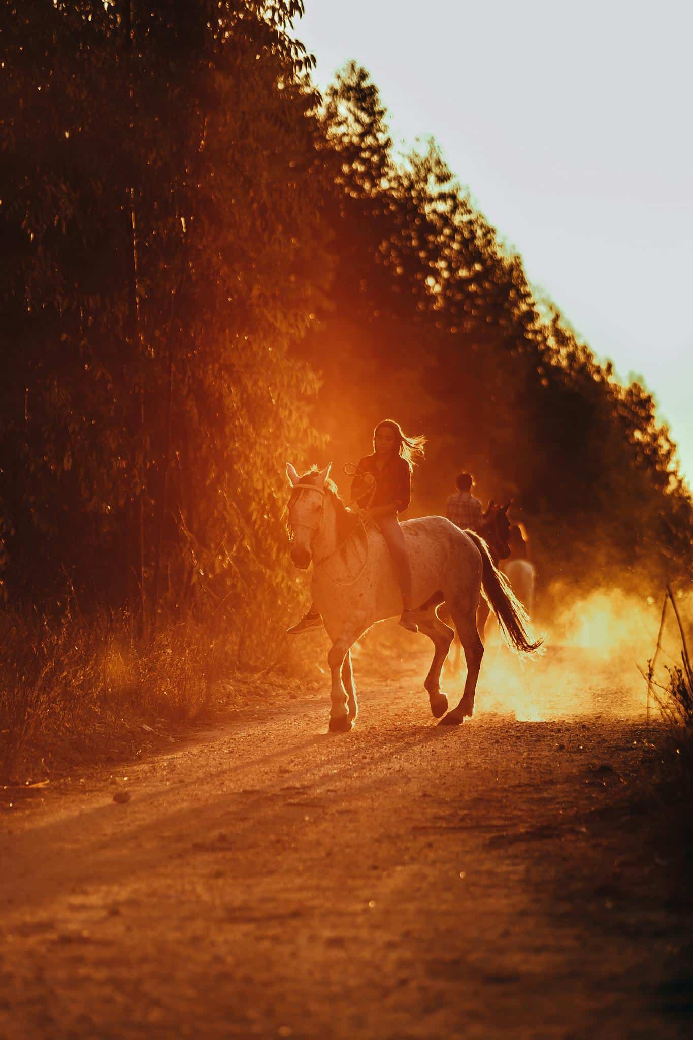 Photo of a Person Riding a Horse